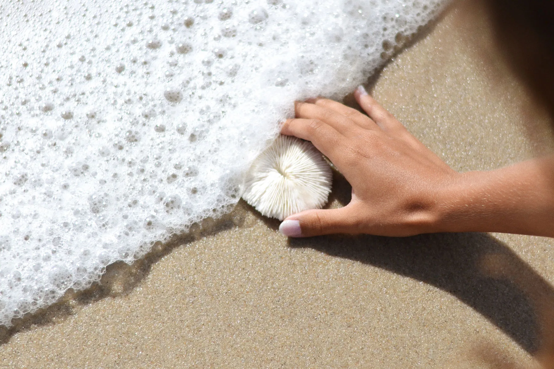 Mão a apanhar uma peça na areia, junto à espuma do mar.