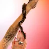 Imagem 6