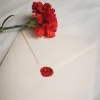 Imagem 7